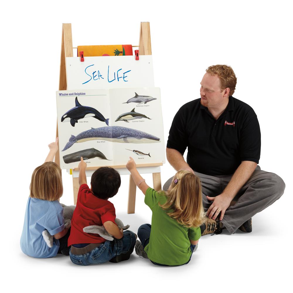 Teachers' Standard Easel - Write-n-Wipe