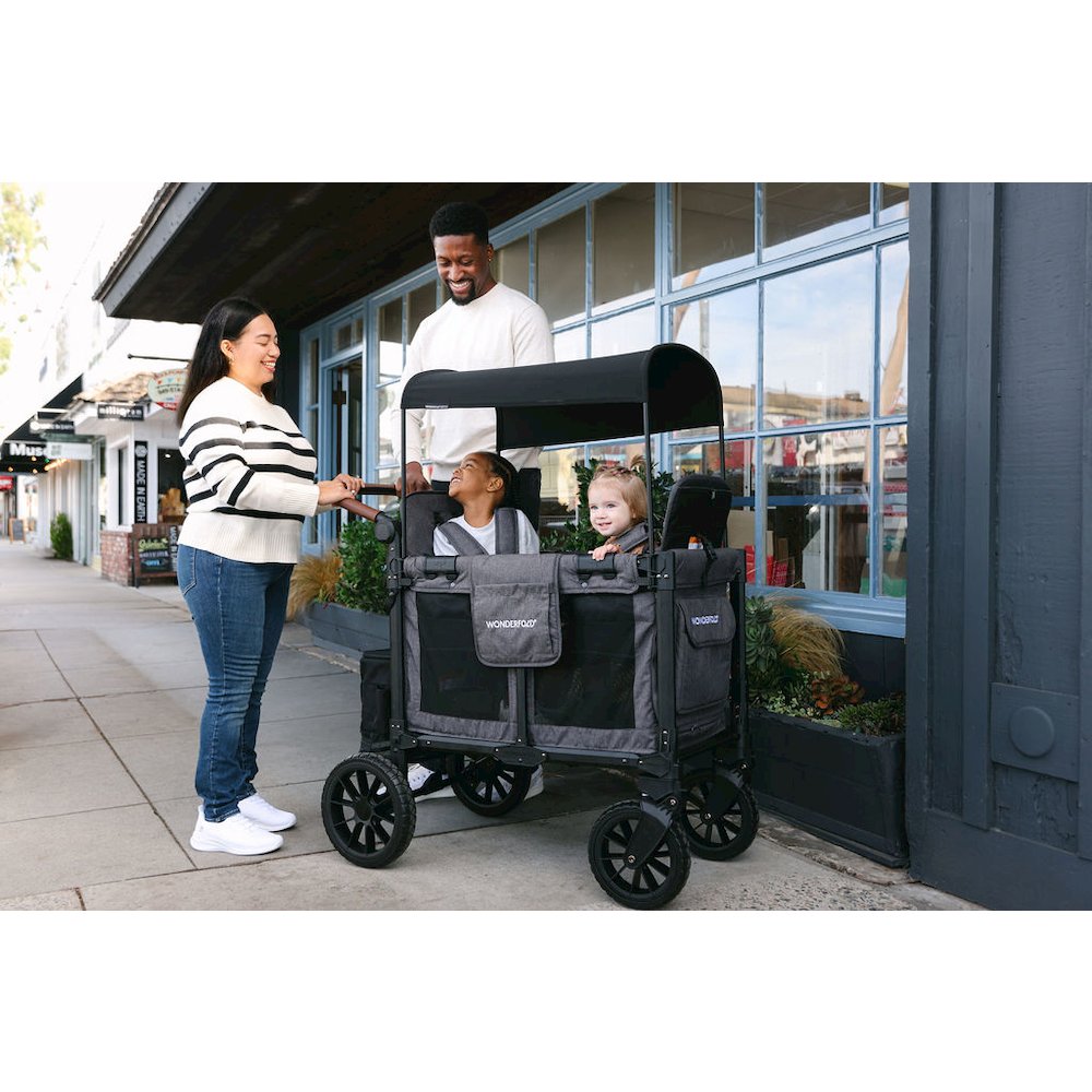 W2 Luxe Pro - 2 Seater - Charcoal Gray