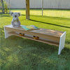 Bench, Brown and White
