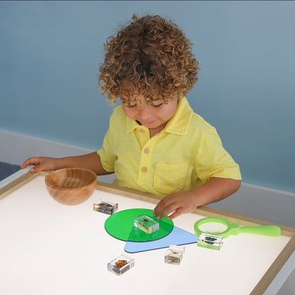 Adjustable Light Table in Brown and White Color