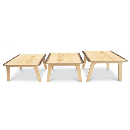 Nature View Live Edge Square Table 22H