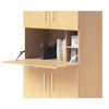 Teachers Workstation Cabinet