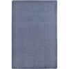 Kid Essentials Endurance 4' x 6' Area Rug in Color Glacier Blue