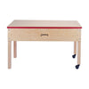 Sensory Table, 42w x 22d x 20h, Birch