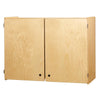 Lockable Wall Cabinet