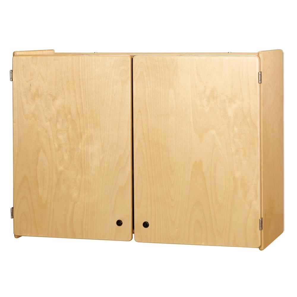 Lockable Wall Cabinet