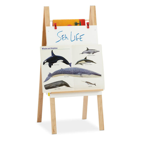 Teachers' Standard Easel - Write-n-Wipe