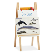 Teachers' Standard Easel - Write-n-Wipe