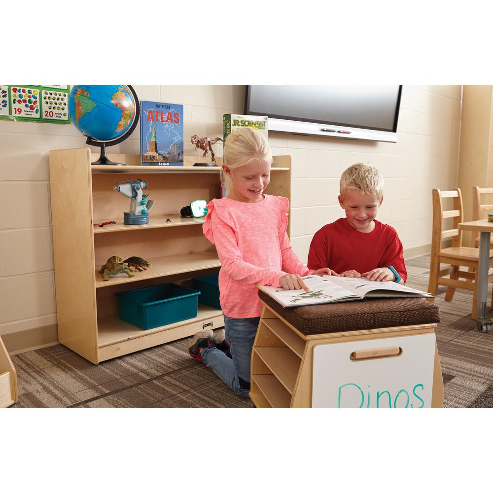 Adjustable Mobile Bookcase with Lip