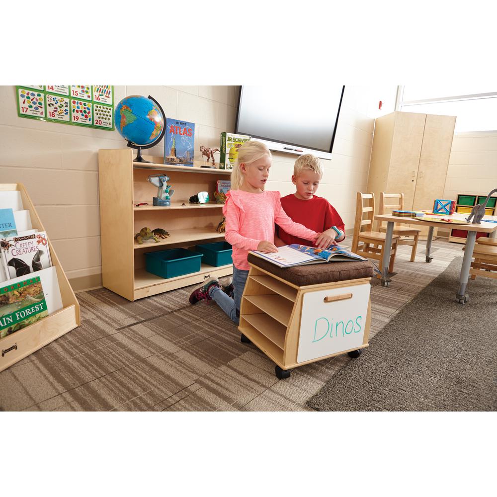 Adjustable Mobile Bookcase with Lip