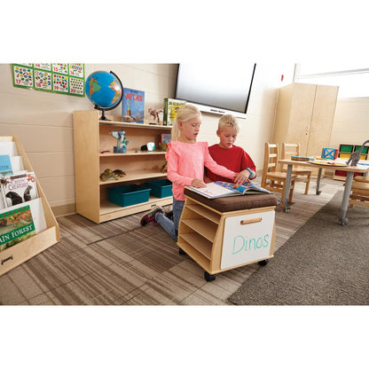 Adjustable Mobile Bookcase with Lip