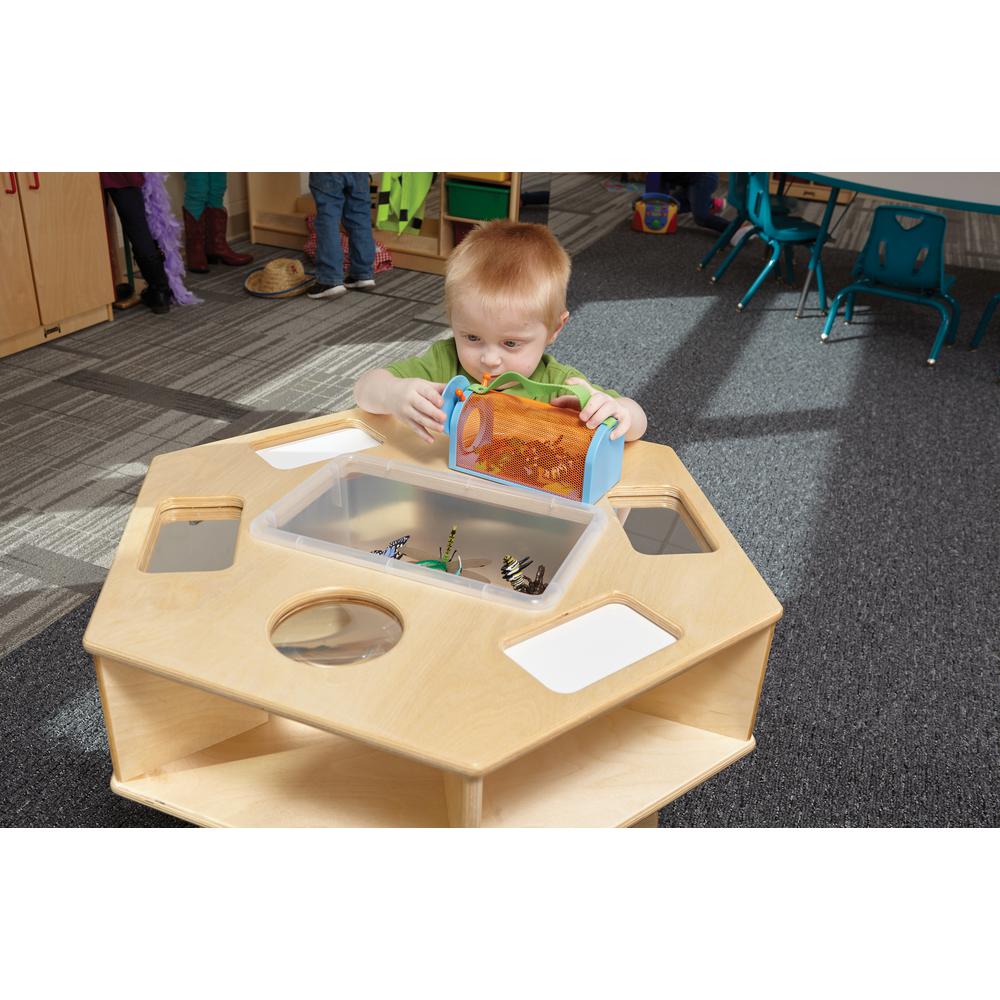 Science Activity Table, Brown Color