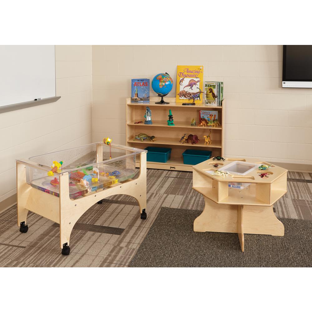 Adjustable Mobile Bookcase with Lip