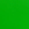 24''W x 48''L Rectangular Green Plastic Height Adjustable Activity Table
