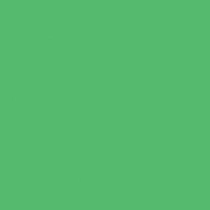 45'' Round Green Plastic Height Adjustable Activity Table Set with 2 Chairs