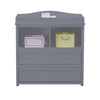 Leila 2-Drawer Changing Table Gray