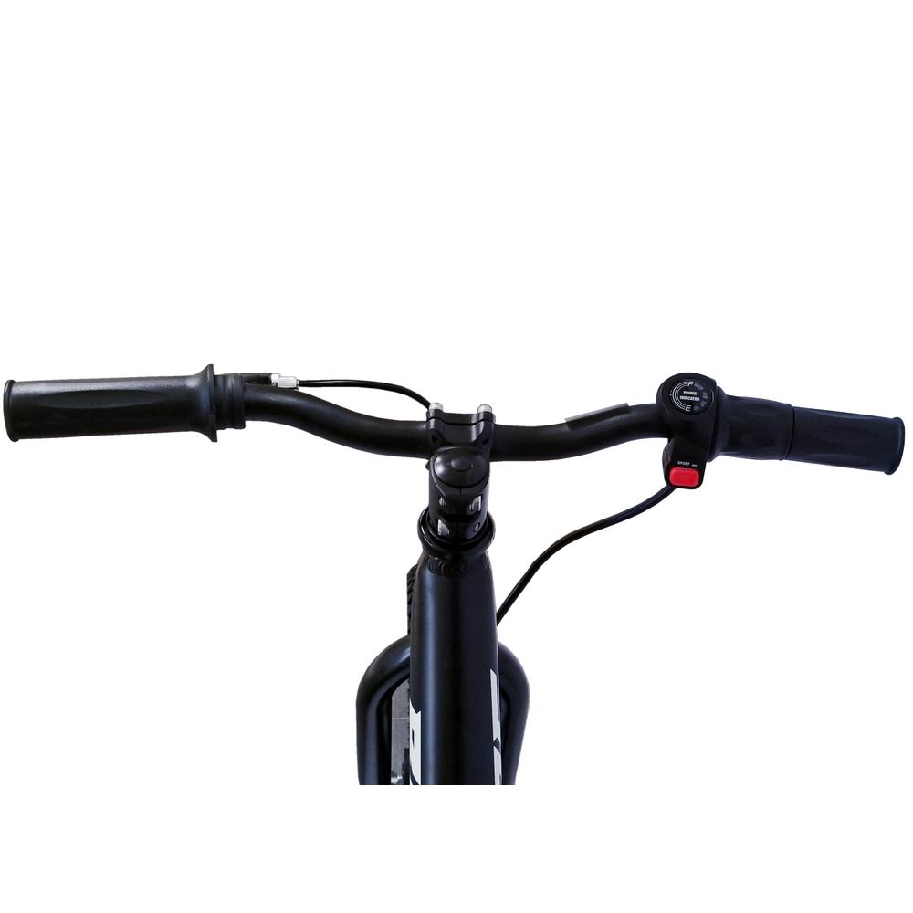 BROC USA E-Bikes D16 (16 Inch) Black