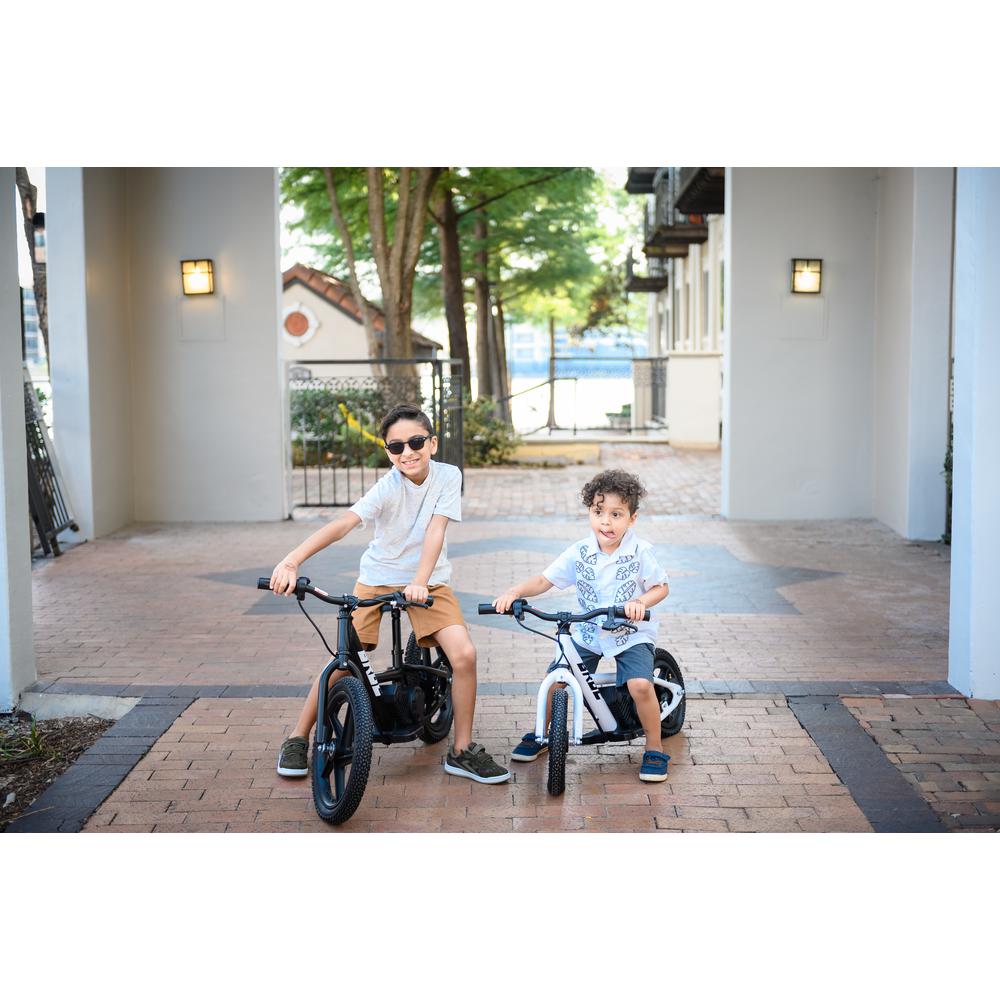 BROC USA E-Bikes D16 (16 Inch) Black