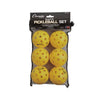 Recreational Outdoor Pickleball Set