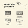 Casablanca Deluxe 5-in-1 Convertible Crib with Drawer - Sage