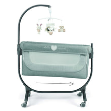 Sorelle Cullami,Gray Color