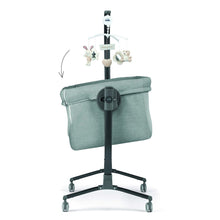 Sorelle Cullami,Gray Color
