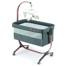 Sorelle Cullami,Rose Gold / Gray Color