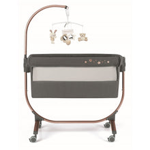 Sorelle Cullami,Rose Gold / Gray Color