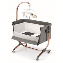 Sorelle Cullami,Rose Gold / Gray Color