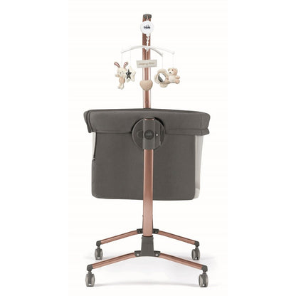 Sorelle Cullami,Rose Gold / Gray Color